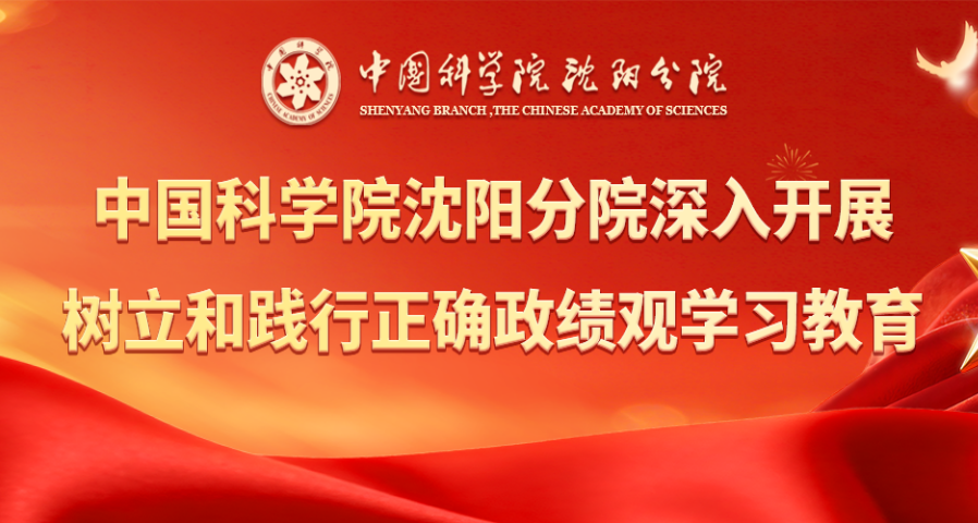 沈阳分院分党组召开第一期树立和践行正确政绩观学习教育读书班暨理论学习中心组集体学习会
