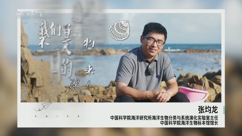 【开讲啦】张均龙：从“深海小飞象”开始?读懂深蓝