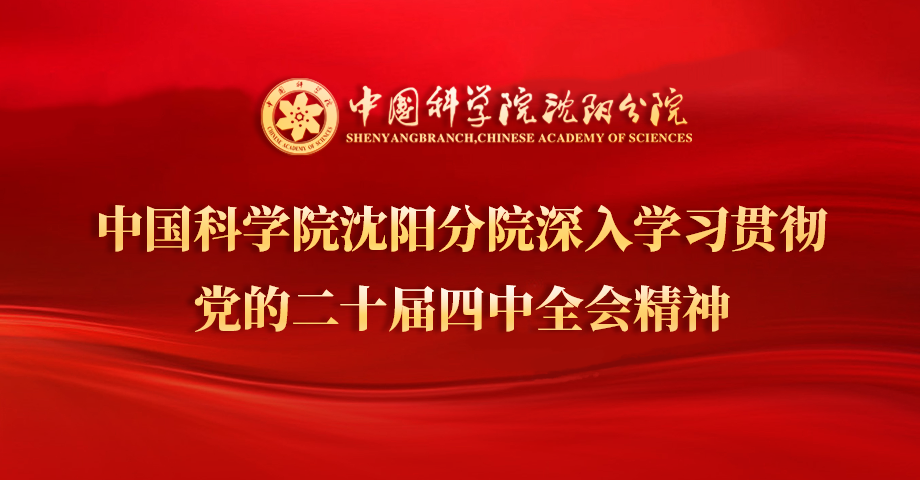 专题：深入学习贯彻党的二十届四中全会精神