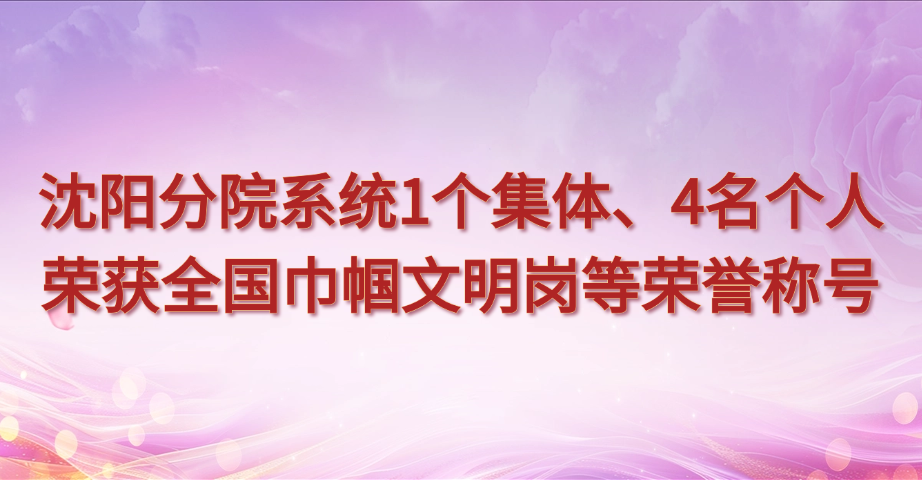 沈阳分院系统1个集体、4名个人荣获全国巾帼文明岗等荣誉称号